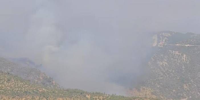 Denizli'deki orman yangını Aydın'a sıçradı