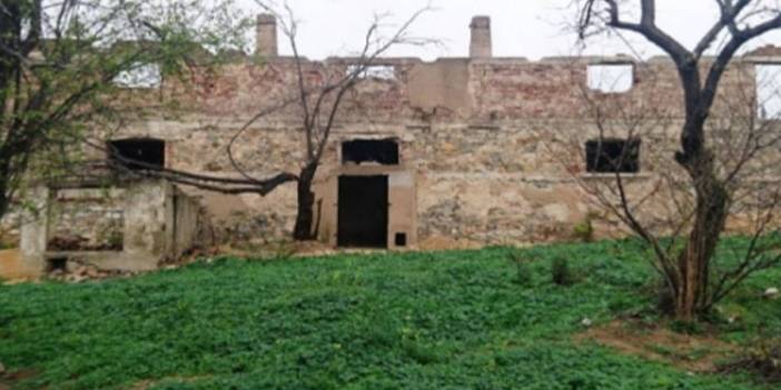 AKP’ye yakın şirket, tarihi köşk yanında lüks konut projesi için ağaç kıyımı yaptı