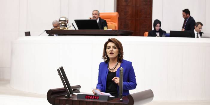 CHP'li Kış'tan özel okul öğretmenleriyle ilgili soru önergesi