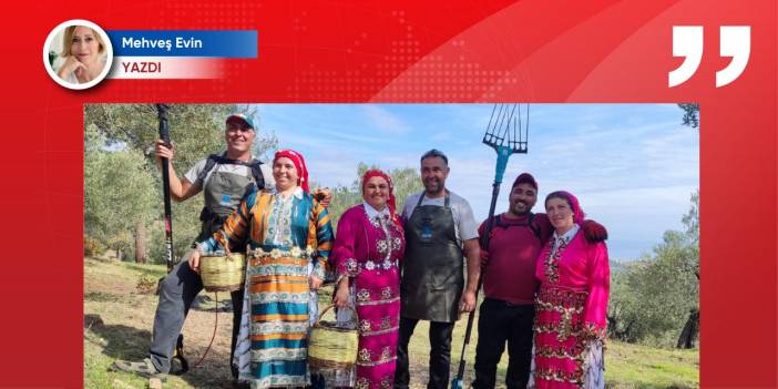 Madencilik yasasının gölgesinde hasat: Çatalağaç zeytin taşınamaz