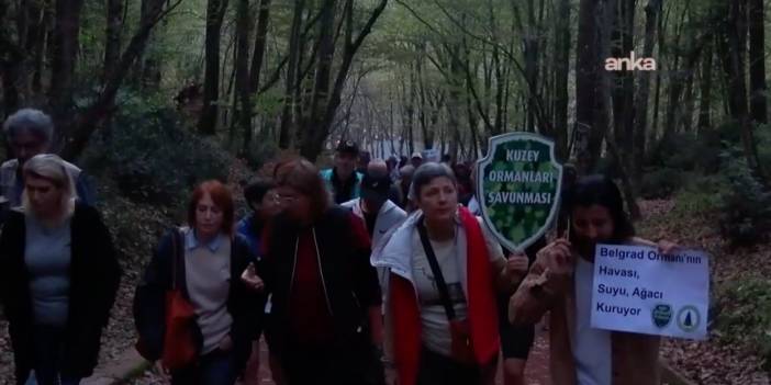 Muhafaza ormanları tehlikede: Çevreciler Belgrad Ormanı için yürüdü