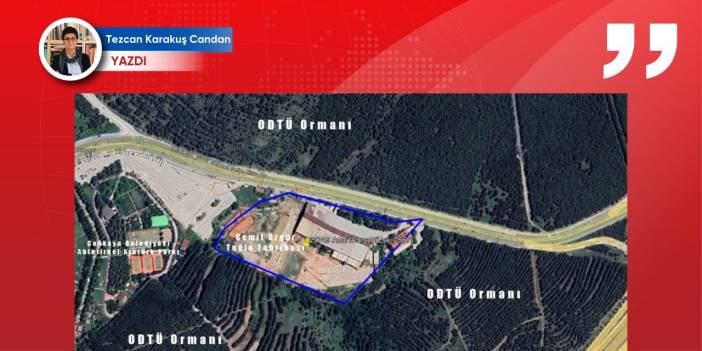 ODTÜ Ormanı çeperinde ısrarlı rant kuşatması