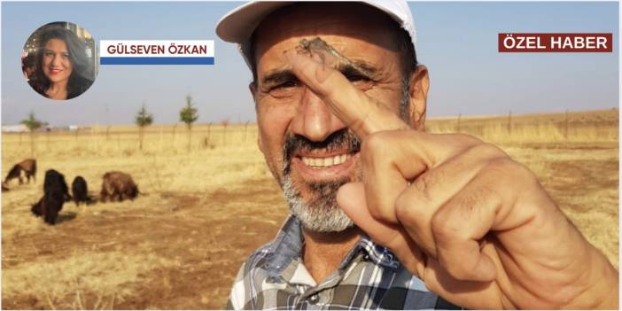 Üniversite odasından tarlaya: Hafızada tankların izi ve toprakla gelen yeni hayat