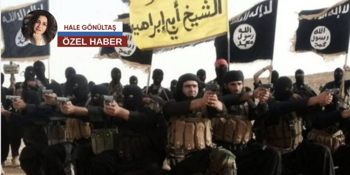 Türkiye, Al Hol ve Roj’daki vatandaşlarını alıyor: Rehabilitasyon ve yargılama planı