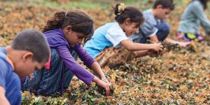 Af Örgütü: Savaş, açlık ve baskılar... Devletler, çocuk haklarında sınıfta kaldı