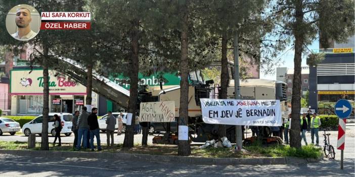 Diyarbakır'da belediye ağaçları sökmek istedi, iklim aktivistleri karşı çıktı