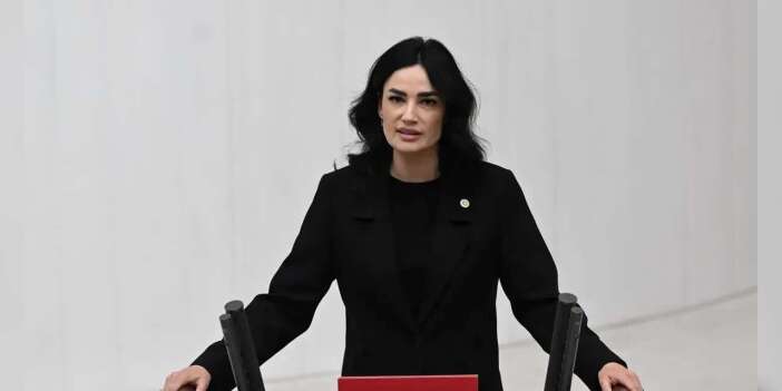 'AKP'li vekilin oğlu okula silahla gitti' iddiası: Başsavcılık yalanladı, gazeteci tutuklandı