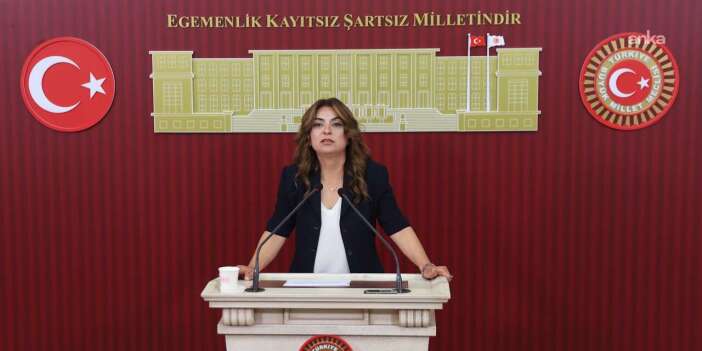 Koçyiğit: AKP’nin yasa taslağını bu hafta İmralı Heyeti'ne aktarmasını bekliyoruz