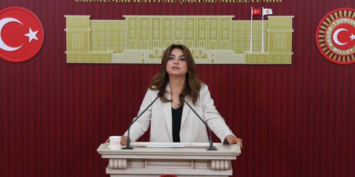 DEM Partili Koçyiğit: Çerçeve yasa TBMM kapanmadan önce çıkacak