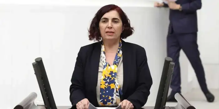 Sevilay Çelenk, Avrupa Konseyi’nde "Ailem Güvende" operasyonlarını anlattı: Önyargı ve nefreti pekiştirebilir