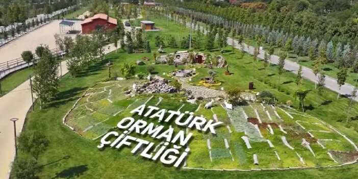 Atatürk Orman Çiftliği’nde talan bitmiyor: Yolgeçen hanı
