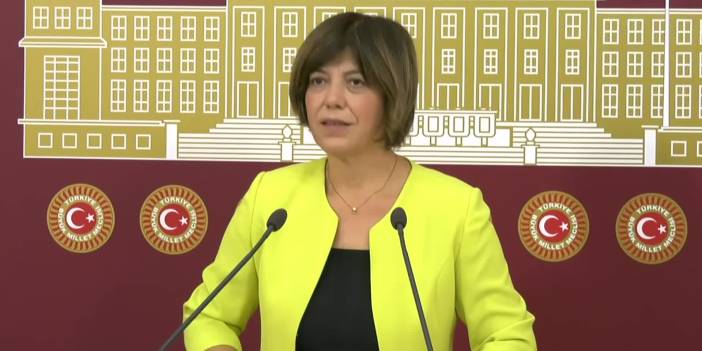 HDP’li Beştaş: Rönesans Holding'in kaçırdığı parayla 100 yataklı 800 yurt yapılırdı