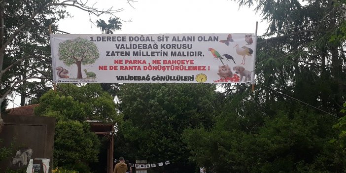 Mahkeme ihaleyi iptal etti: Validebağ koru olarak kalacak