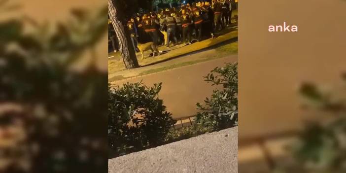 "Barınamıyoruz" eylemi yapan üniversitelilere "mala zarar verme" davası