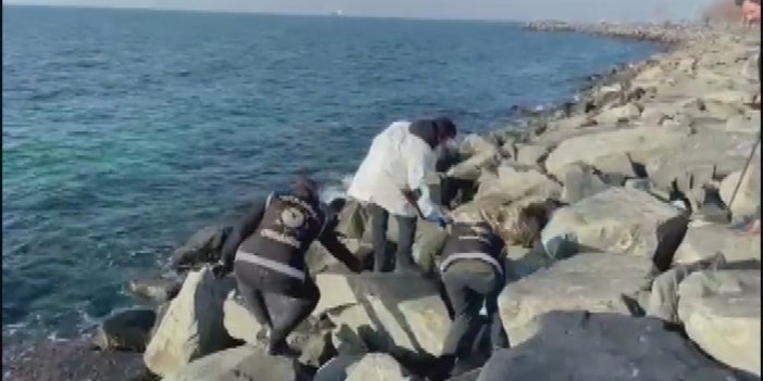 Şafak Mahmutyazıcıoğlu cinayetinde kullanılan silah kayalıklarda bulundu