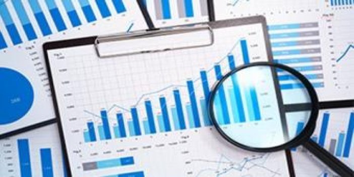 Alternatif olarak enflasyon verisi açıklayan ENAG hakkında vergi incelemesi başlatıldı