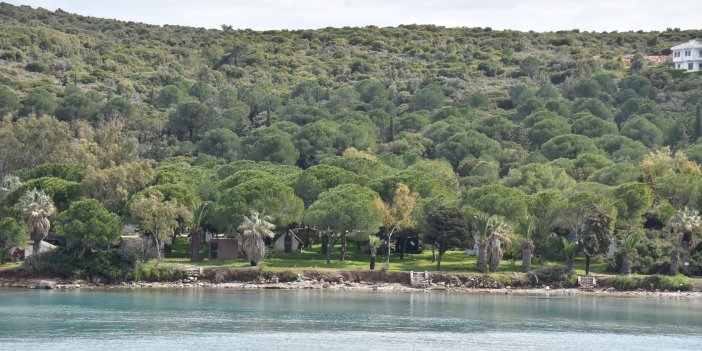 Çeşme Paşalimanı'ndaki arsaların vasiyete rağmen satışa çıkarılmasına tepki