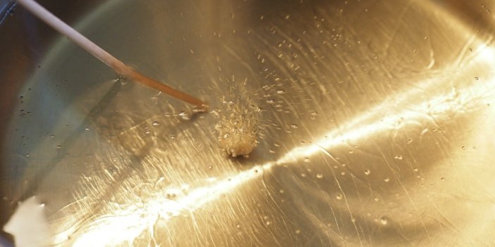 İddia: "Bazı firmalar ayçiçek yağı artıklarından yapılan yeni yağı kullanıyor"