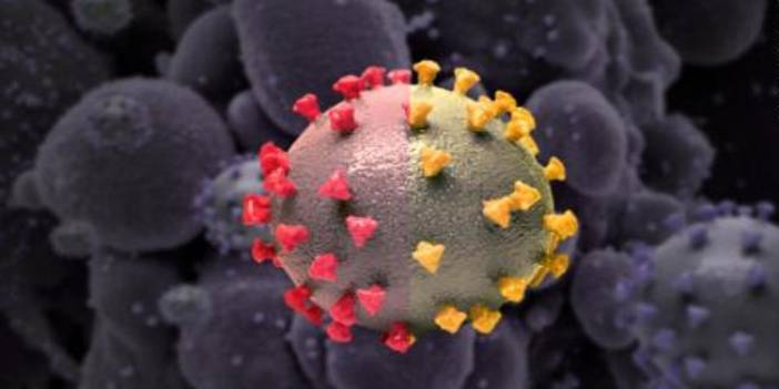 Avrupa'da Covid alarmı: Vakalar artıyor, Danimarka'da aşı tavsiyesi değiştirildi