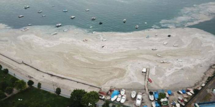 Müsilaj raporundan yeni organize sanayi bölgesi önerisi çıktı