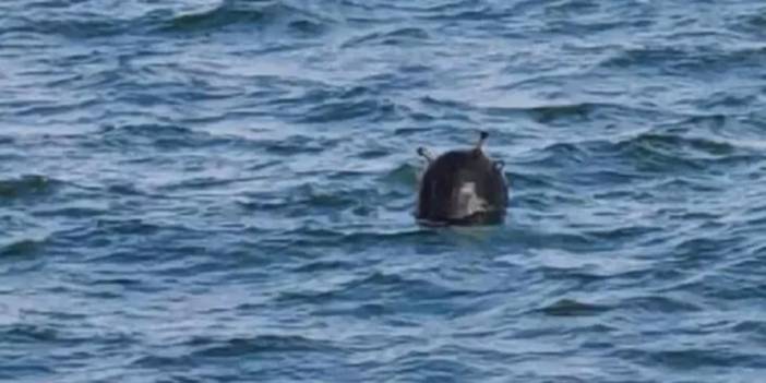 Karadeniz ülkelerinin savunma bakanlarından 'mayın zirvesi'