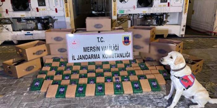 Yine Mersin Limanı, yine kokain