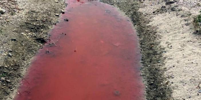 Kamara Deresi kan kırmızı akıyor
