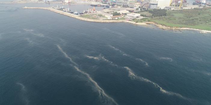 Korkulan oldu, İstanbul sahillerinde müsilaj her dakika artıyor