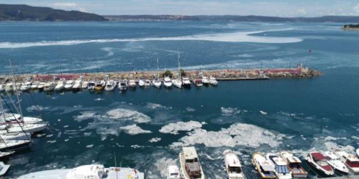 Müsilaja karşı silah bulundu: Ses dalgası