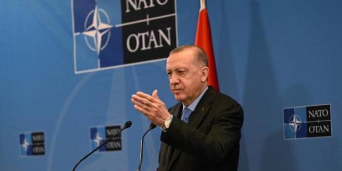 Kanadalı senatör: Türkiye'yi ve Erdoğan'ı NATO'dan atın