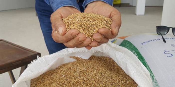 Hindistan satışı durdurdu: Türkiye buğday açığını kapatabilecek mi?