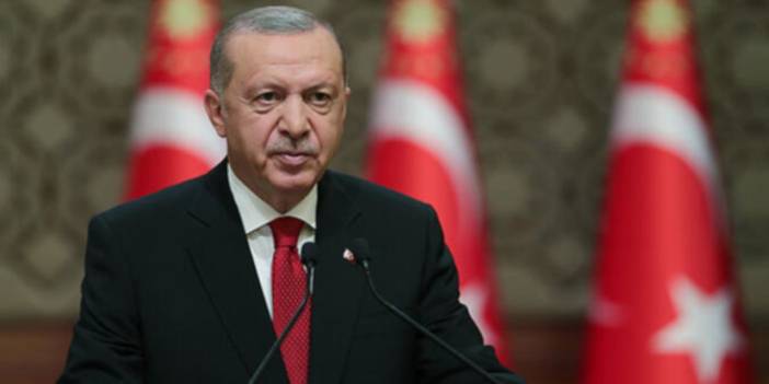 'Erdoğan giderek artan tepkileri yatıştırma arayışında'