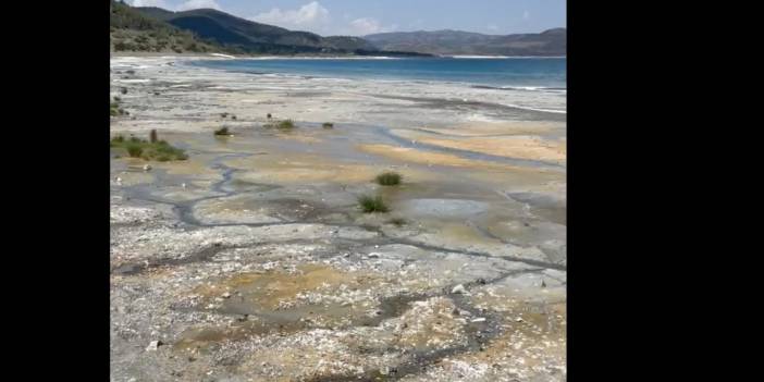 Salda Gölü 'bataklığa' dönüştü