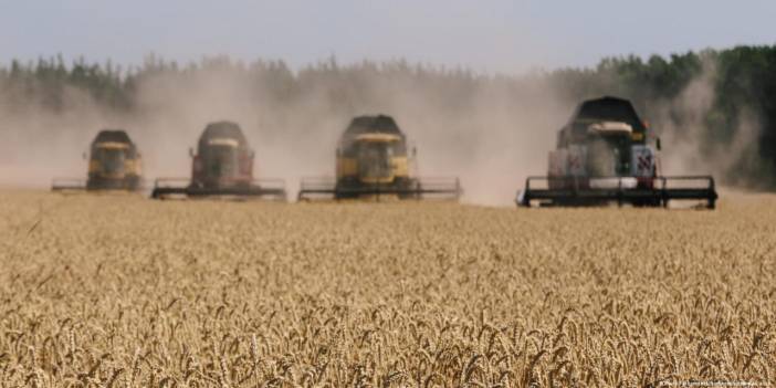 Türkiye buğdayda sıkıntı yaşar mı?