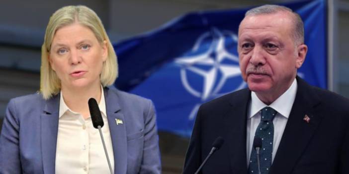 Erdoğan'ın sözleri İsveç'i karıştırdı