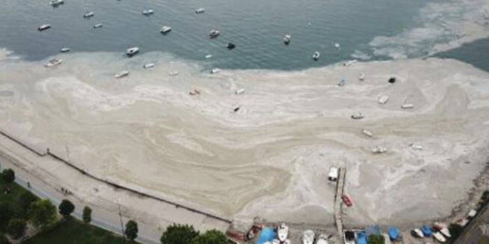 Müsilaj etkisi: Marmara’da 15 plajın mavi bayrağı iptal edildi