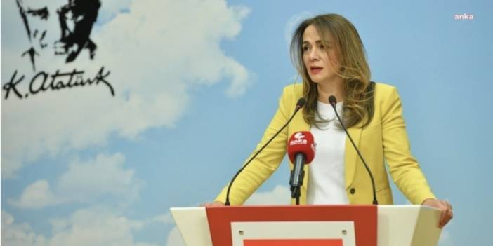 CHP'li İlgezdi, müzik yasağını Danıştay'a taşıdı: Bu yasak ya kalkacak ya kalkacak