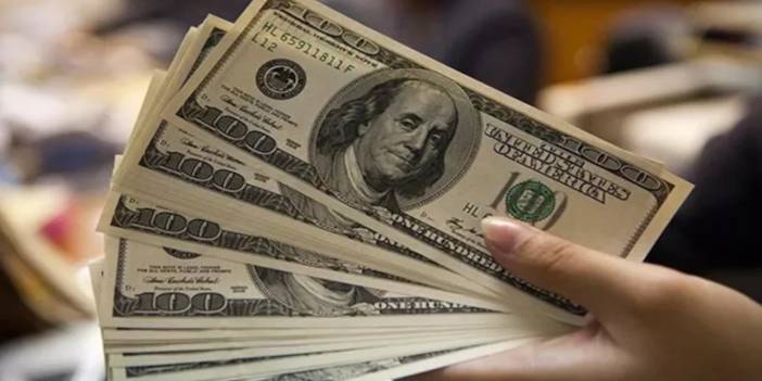 TÜİK: Mayıs ayında en çok dolar kazandırdı