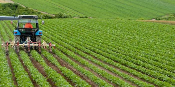 Kuraklık tarımı da vurdu: Çiftçi ekim ayında ekim yapamadı!