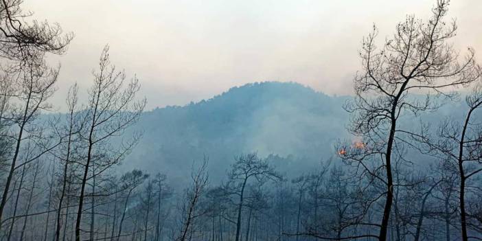Marmaris'te yaklaşık 400 hektarlık orman kül oldu: Çıkış nedeni araştırılıyor