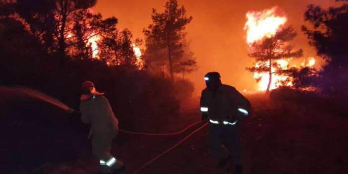 İklim uzmanları uyardı: Avrupa'da bu yaz ani yangın riski çok yüksek
