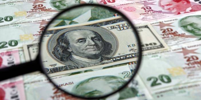 Ticari kredilere döviz kontrolüne ekonomistler ne dedi?