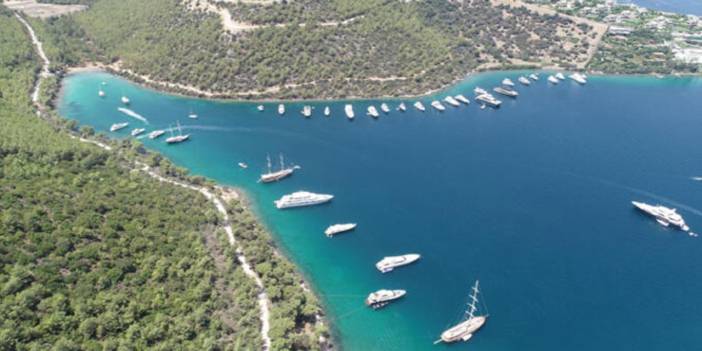 CHP'li Ali Mahir Başarır'dan Mehmet Cengiz'e: Cennet Koyu için Bulgari'yi uyardık, yıkarız