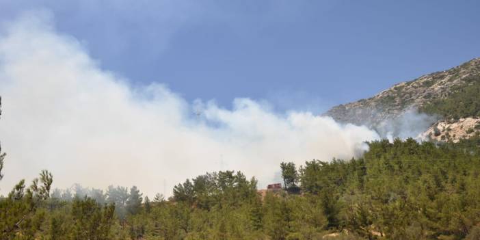 Datça'da orman yangını: Alevler Hayıtbükü sahil yoluna ulaştı