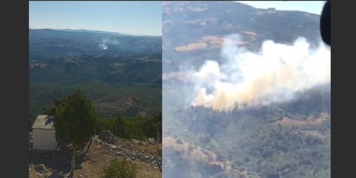 Manisa Akhisar'da orman yangını