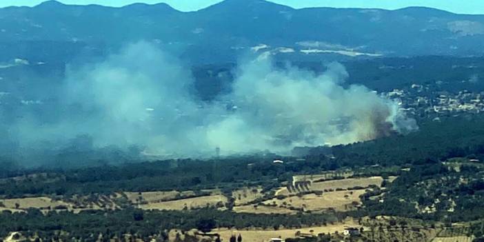 Bornova’da orman yangını