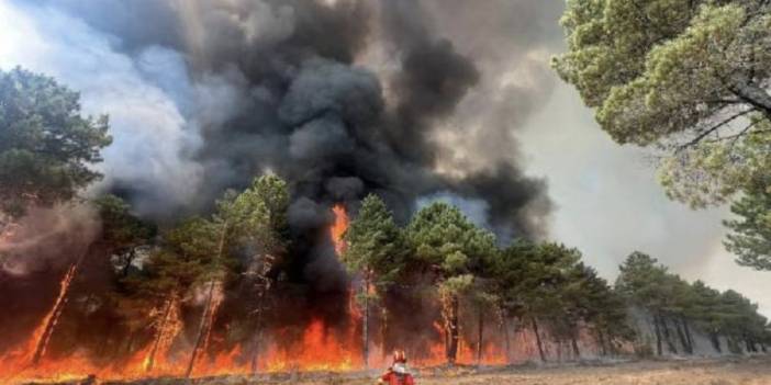 Fransa, İspanya ve Portekiz'de yangınlar söndürülemedi, İngiltere kırmızı alarm verdi