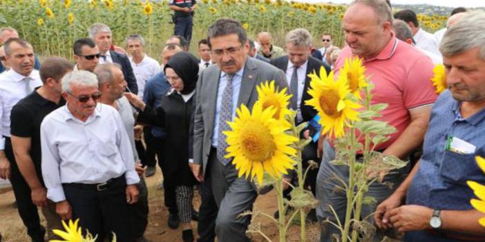 Tırtıl açıklaması: Öyle çok ürkütücü bir tablo yok çok şükür