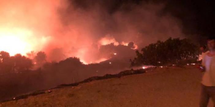 Çeşme'de otluk alanda yangın çıktı: Alevler ormana ilerliyor