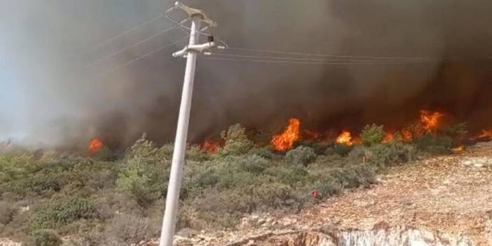 Muğla'da orman yangını: Havadan ve karadan müdahale ediliyor